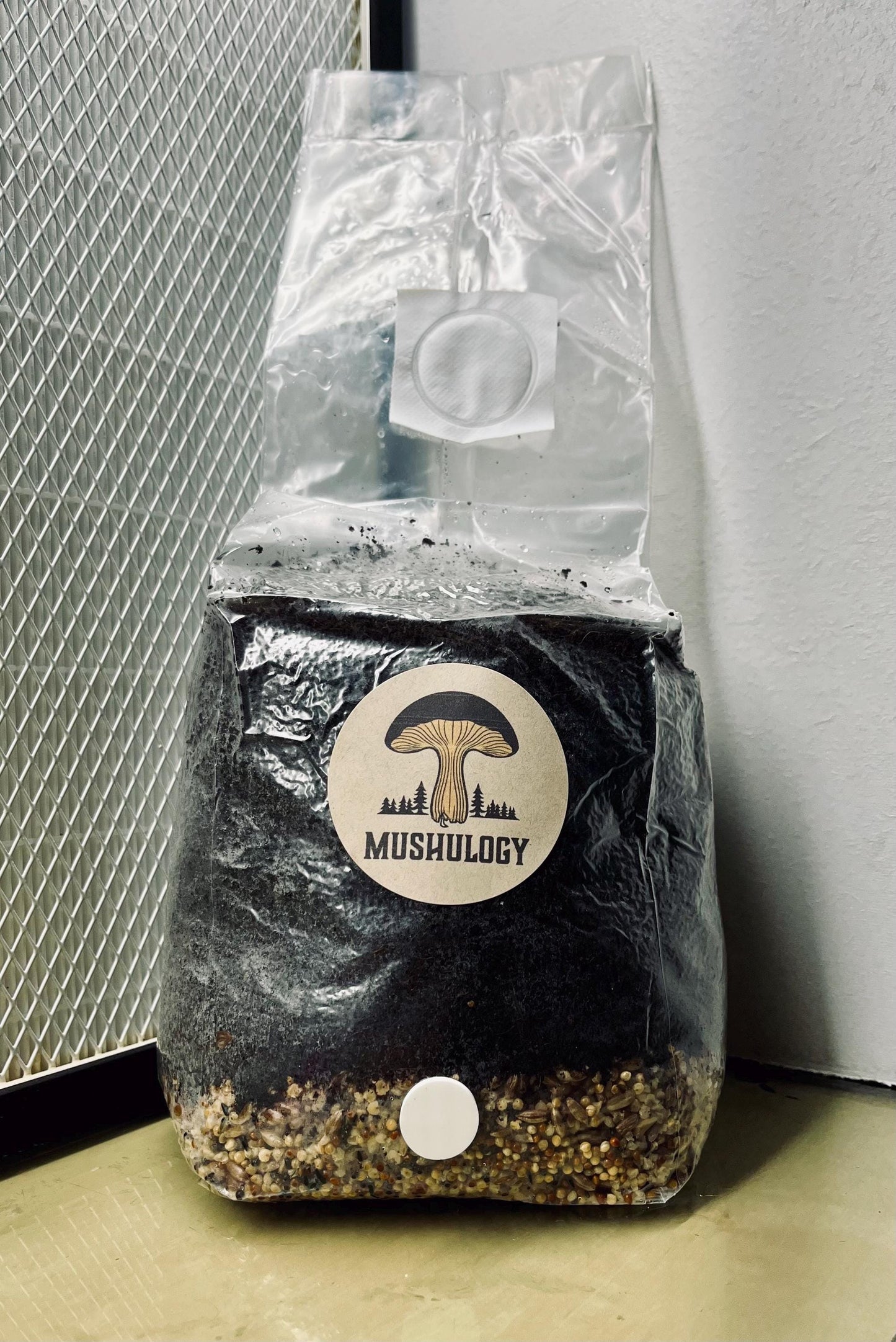 Mushroom All-in-One CVG Mushroom Grow Bag Kit - Grow Your Own Fungi Easily DIY Mushroom setup -Gift for gardeners
