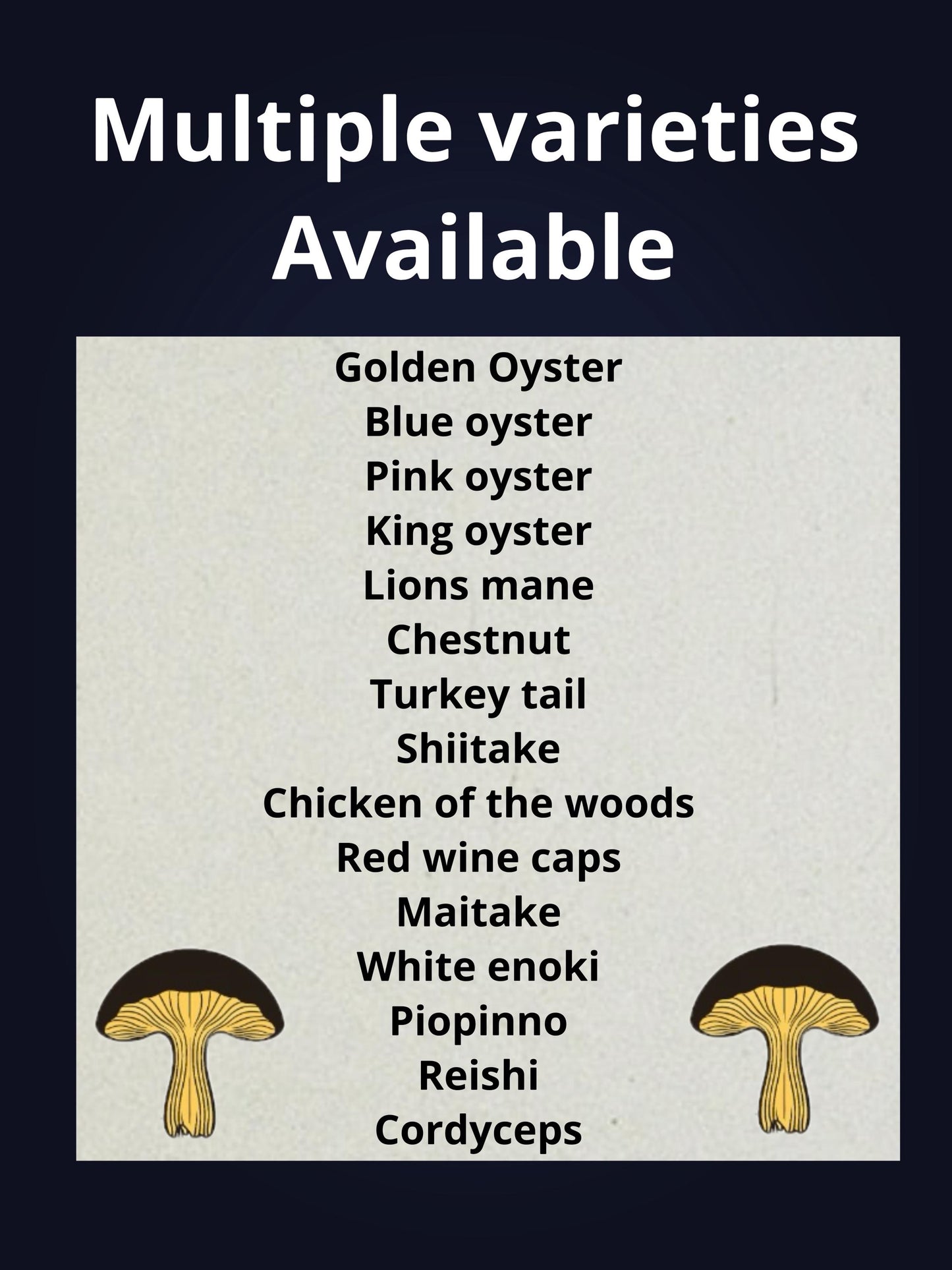 All-in-One Mushroom Growing Kit - Hardwood Substrate & mushroom Liquid Culture - mushroom cultivation - grow mushroom