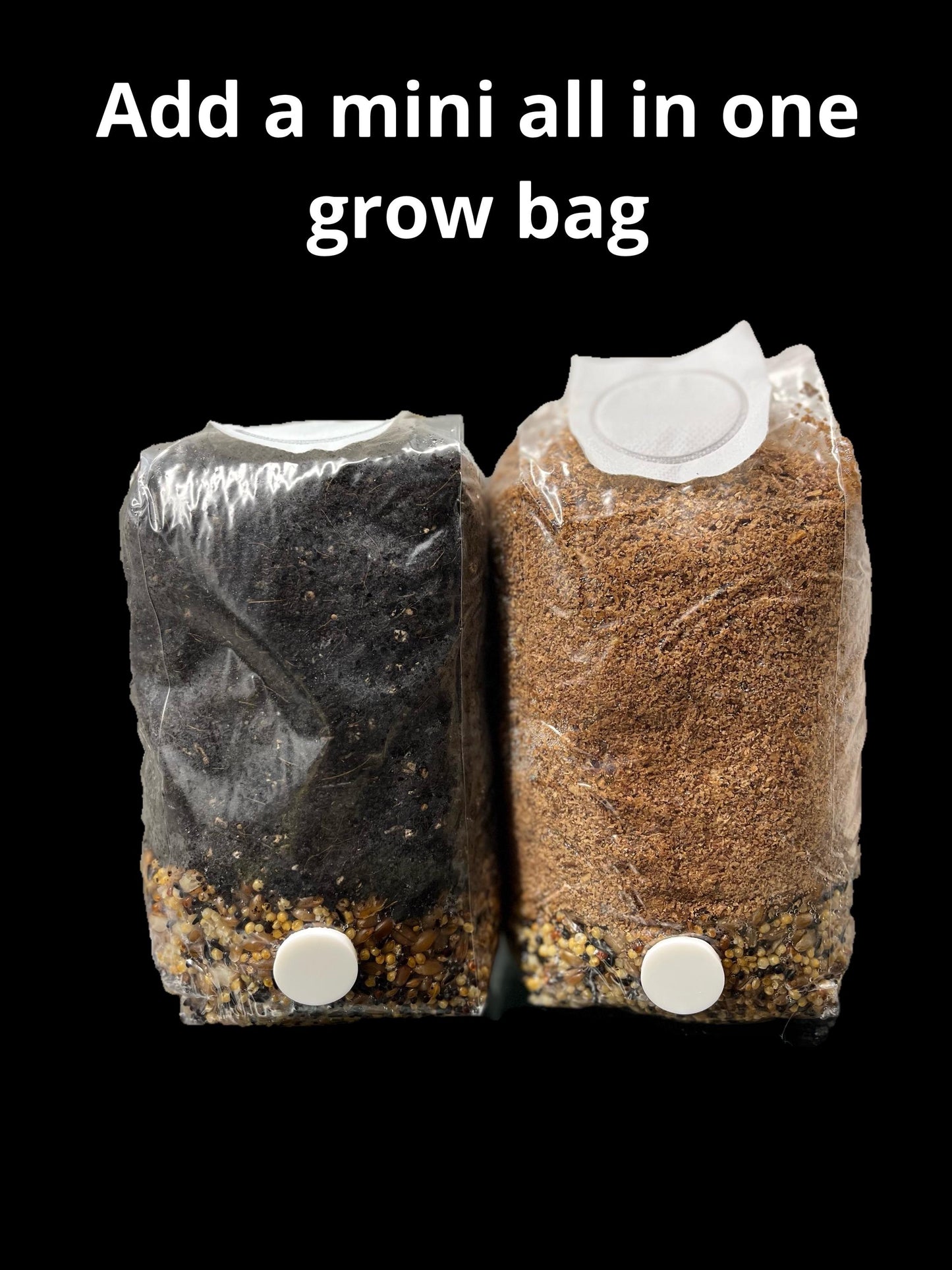 Mini Monotub Mushroom Growing Kit - Easy Home Cultivation- Grow mushrooms indoors