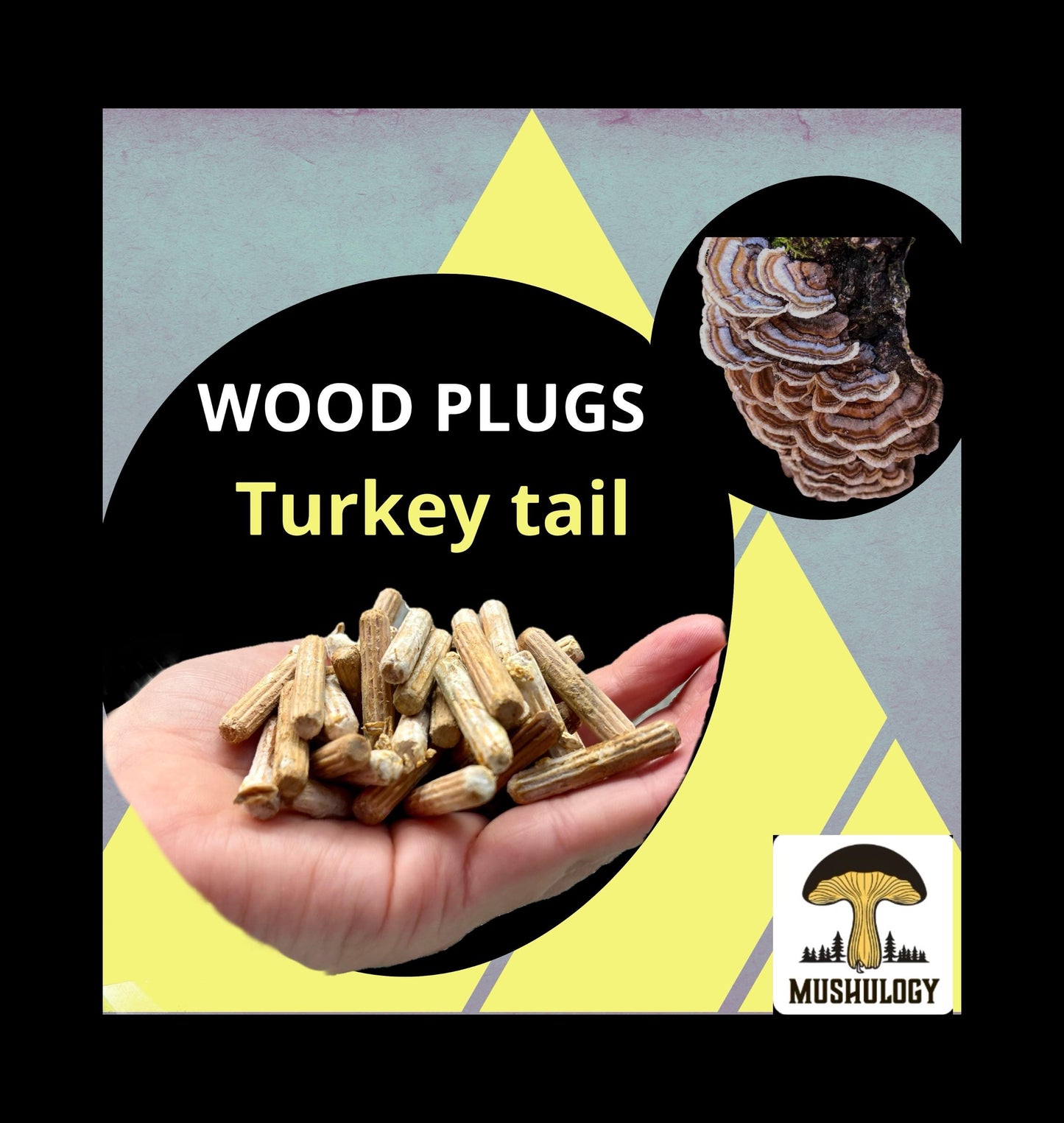 Log Inoculation Kit - 100 Turkey tail Wood Plugs for Mushroom Cultivation . Turkey tail mushroom