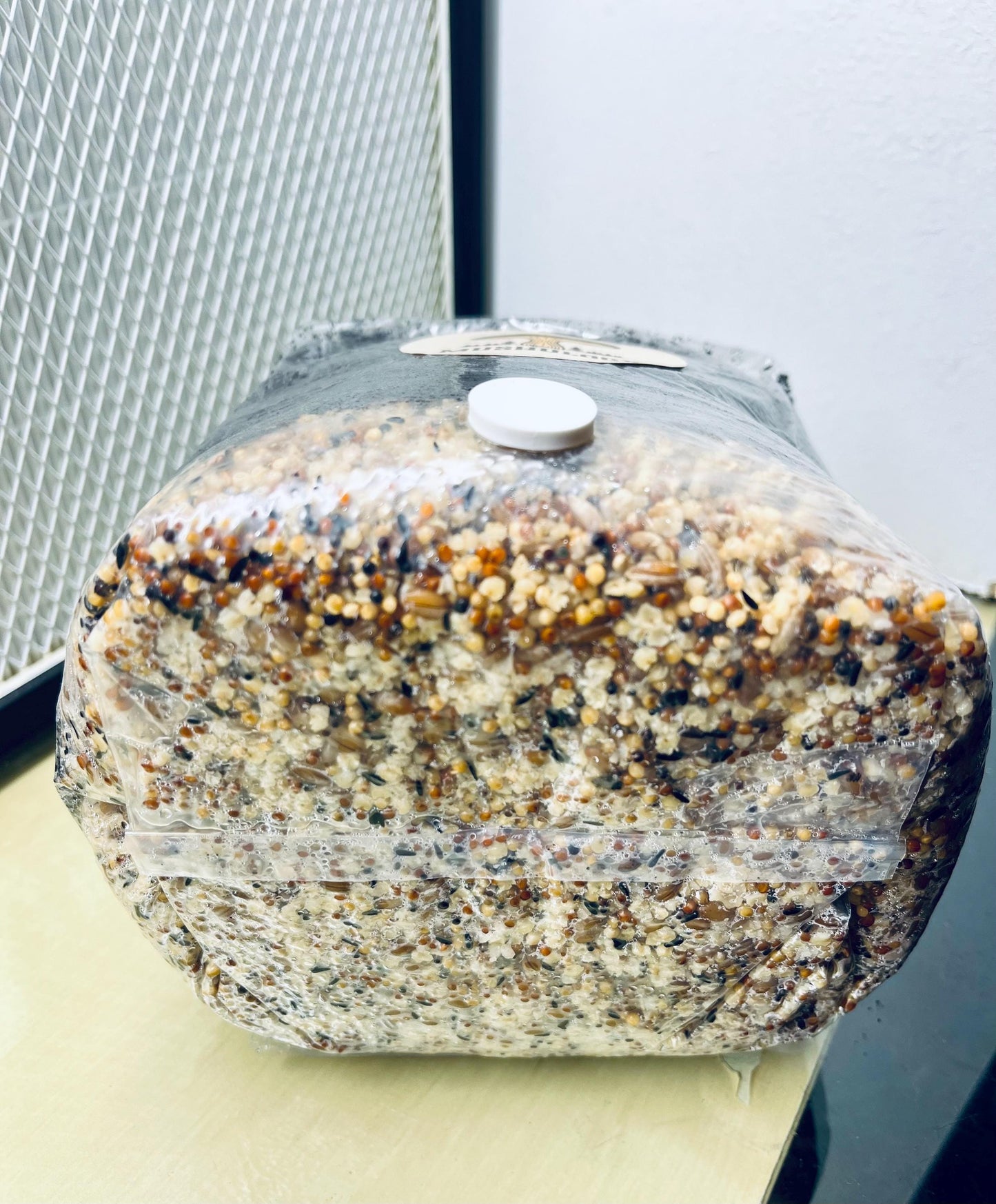 Mushroom All-in-One CVG Mushroom Grow Bag Kit - Grow Your Own Fungi Easily DIY Mushroom setup -Gift for gardeners