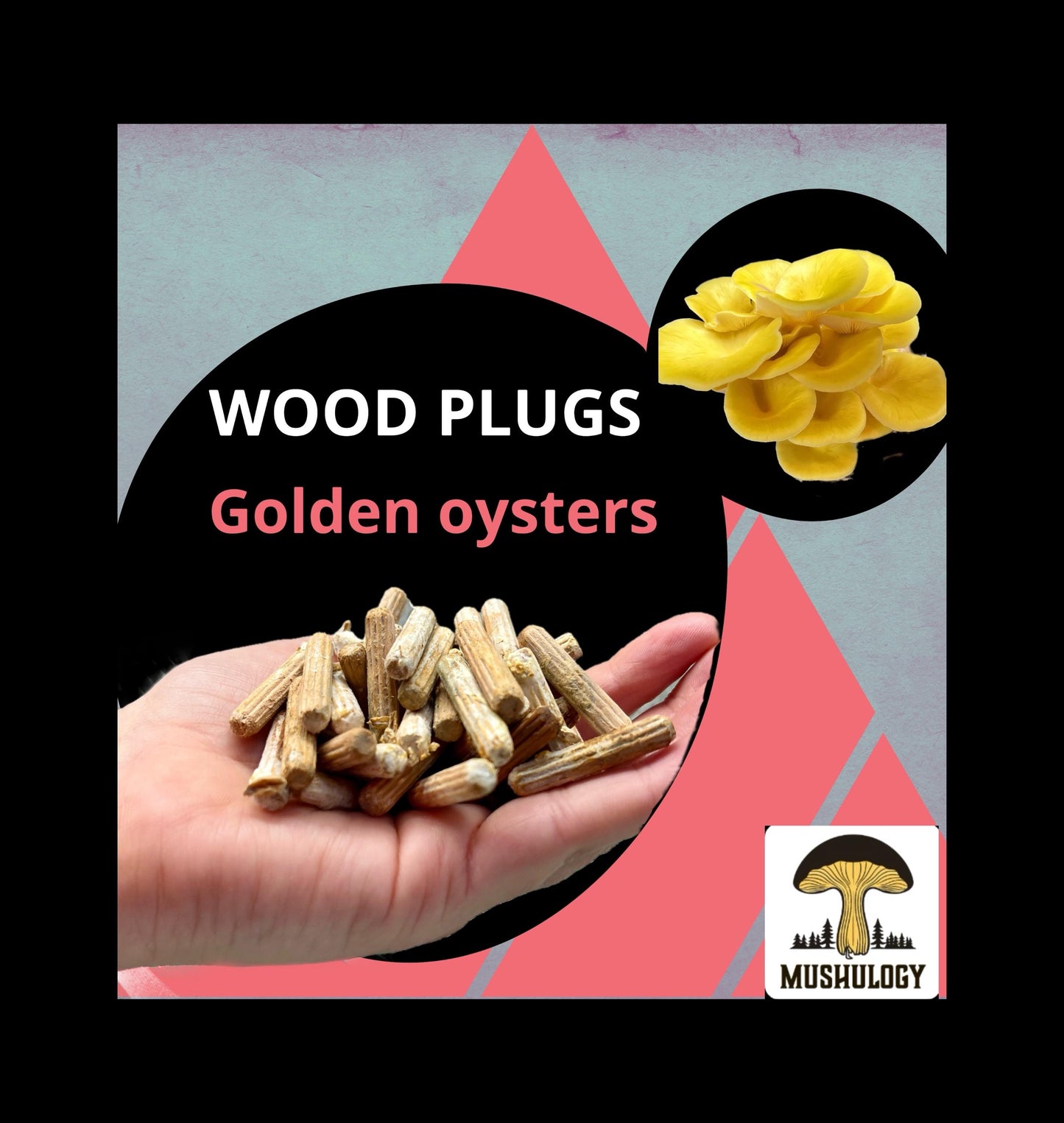 Log Inoculation Kit - 100 Yellow Oyster Wood Plugs for Mushroom Cultivation . Yellow oyster mushroom