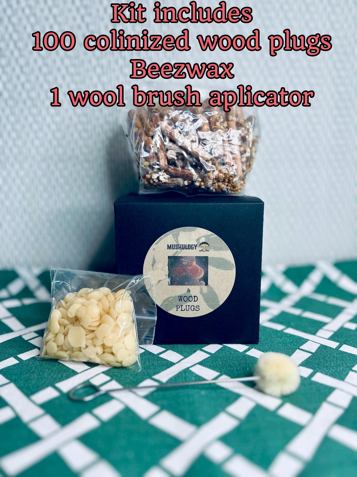 Enoki Wood Plugs - Mushroom Cultivation Supplies (100 Units)