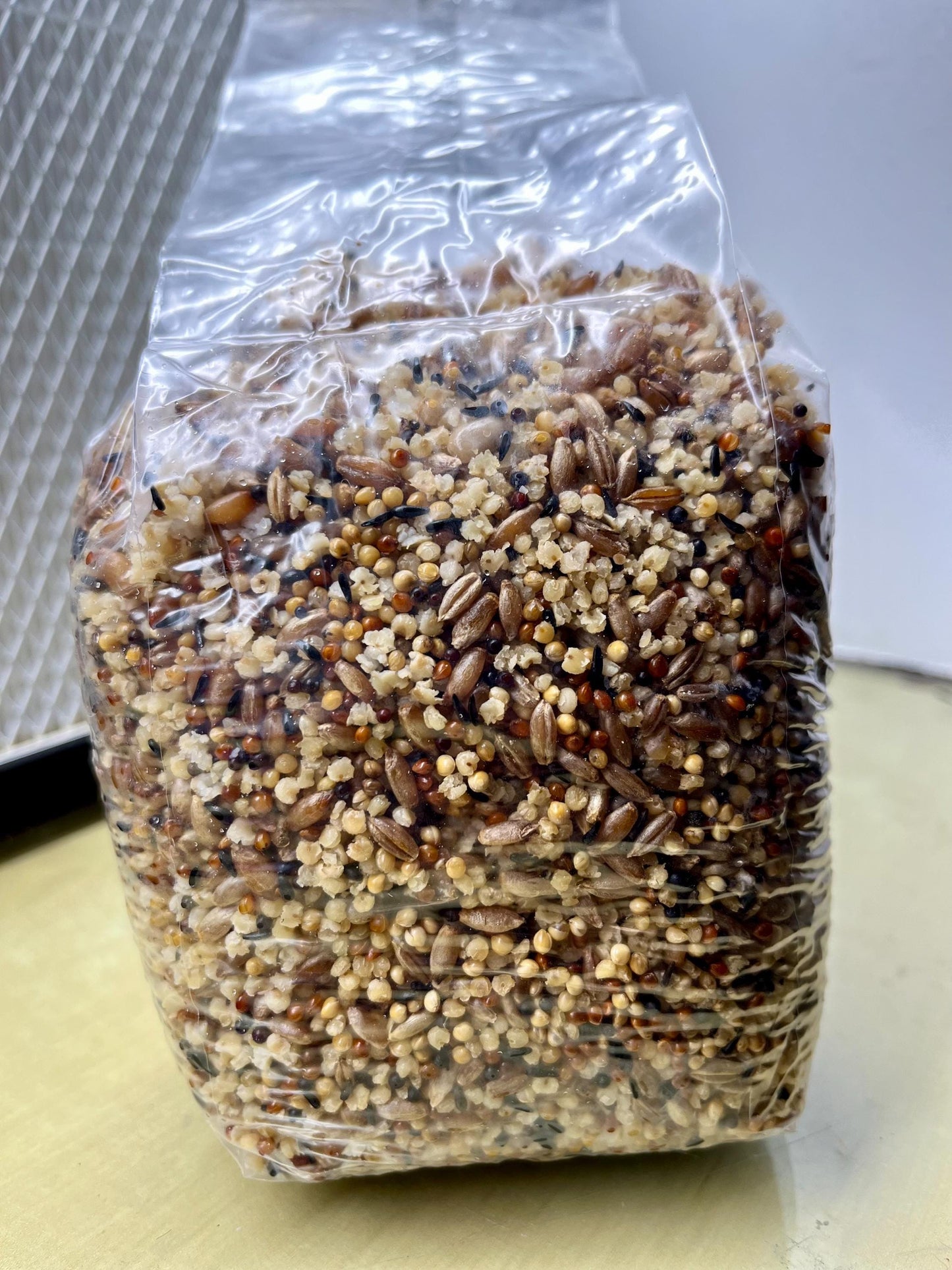 Premium Sterilized mushroom Grain Spawn for Mushroom Cultivation. DYI mushroom grow