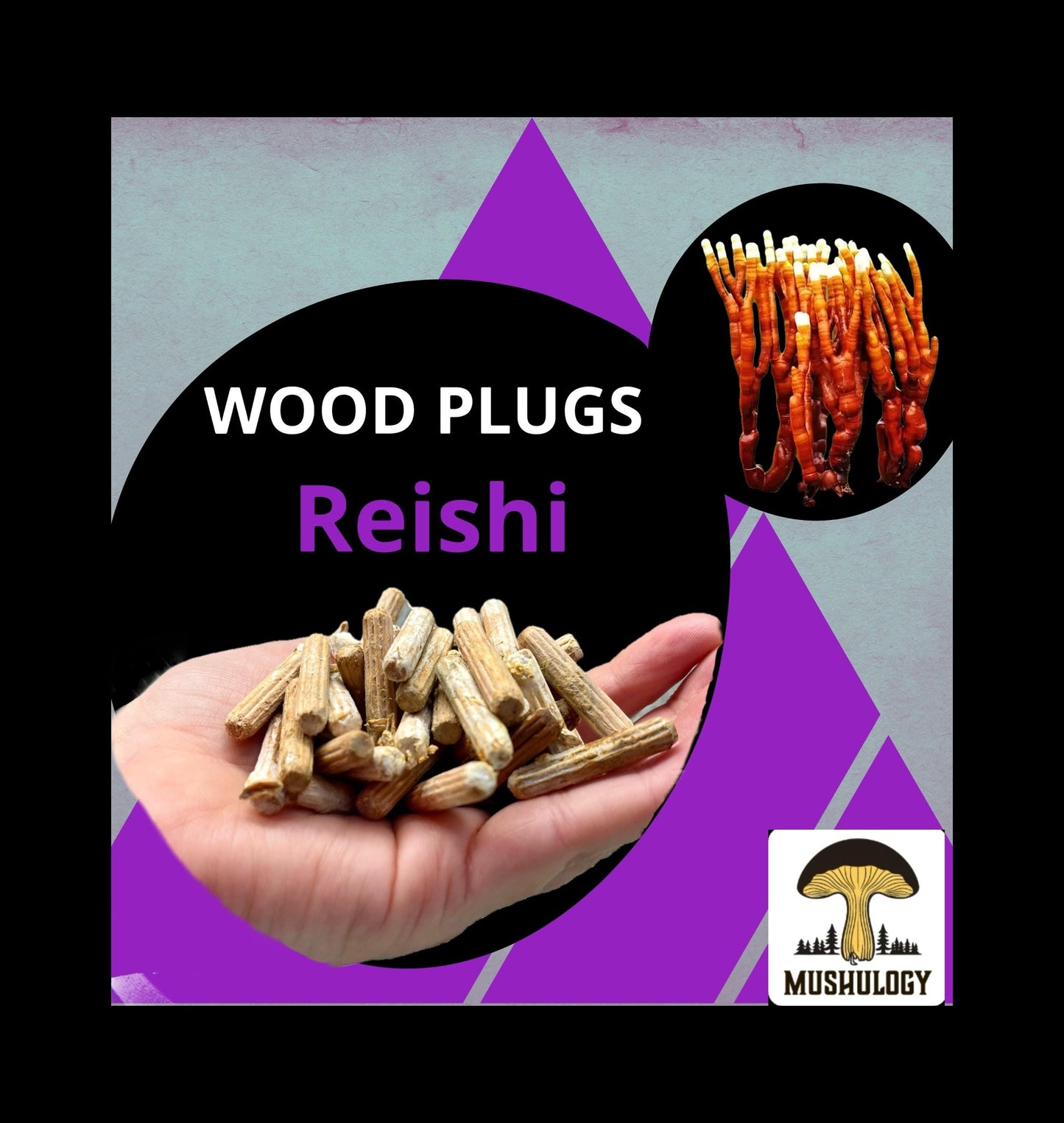 Log Inoculation Kit - 100 Reishi Wood Plugs for Mushroom Cultivation . Reishi mushroom