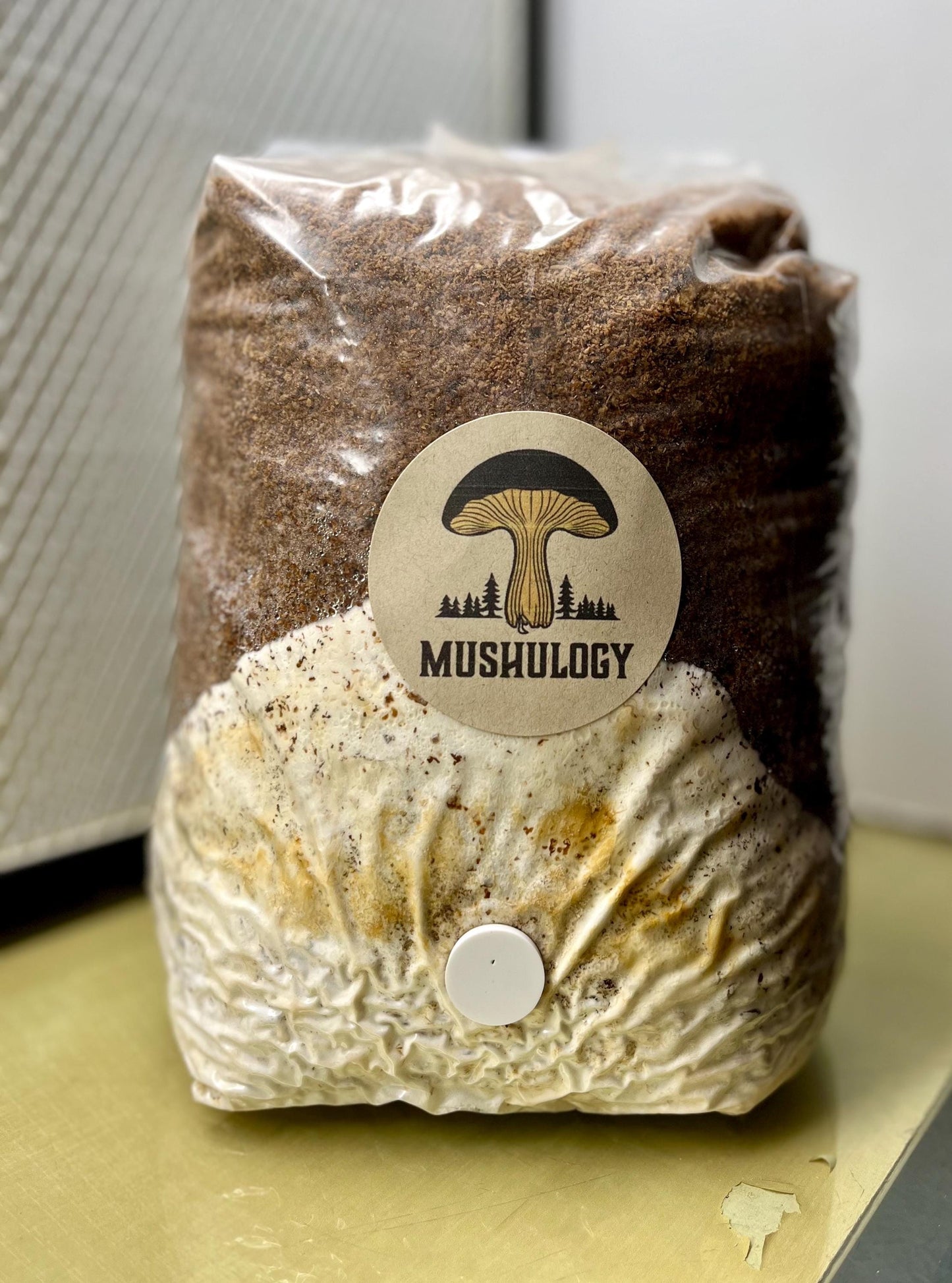 Organic Mushroom Grow Bag Kit - Hardwood Loving Species - Complete Home Mushroom Growing Kit