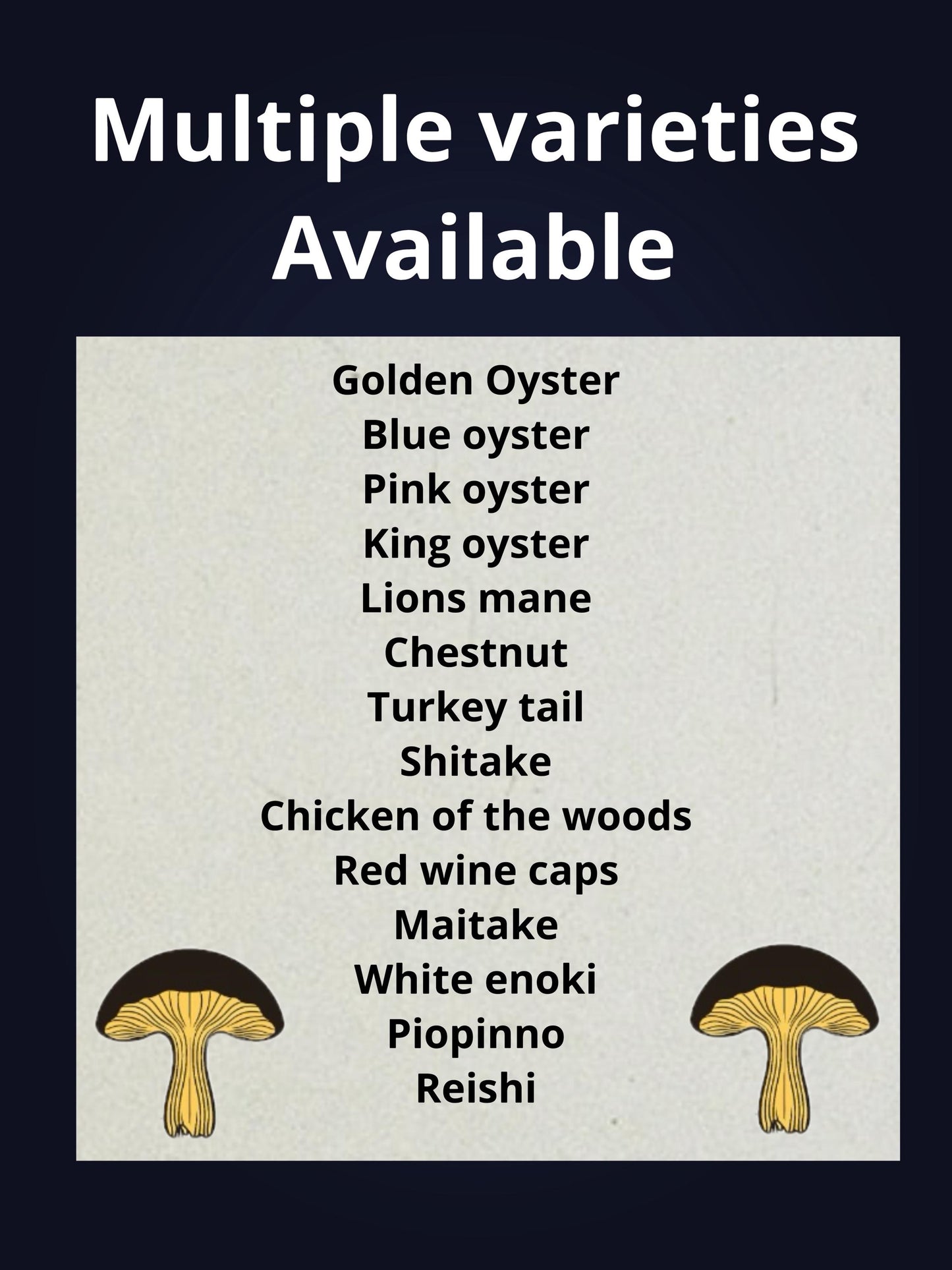 Piopinno Grain Spawn mushroom - Ready-to-Use for Mushroom Farming & Indoor Cultivation mushroom spawn