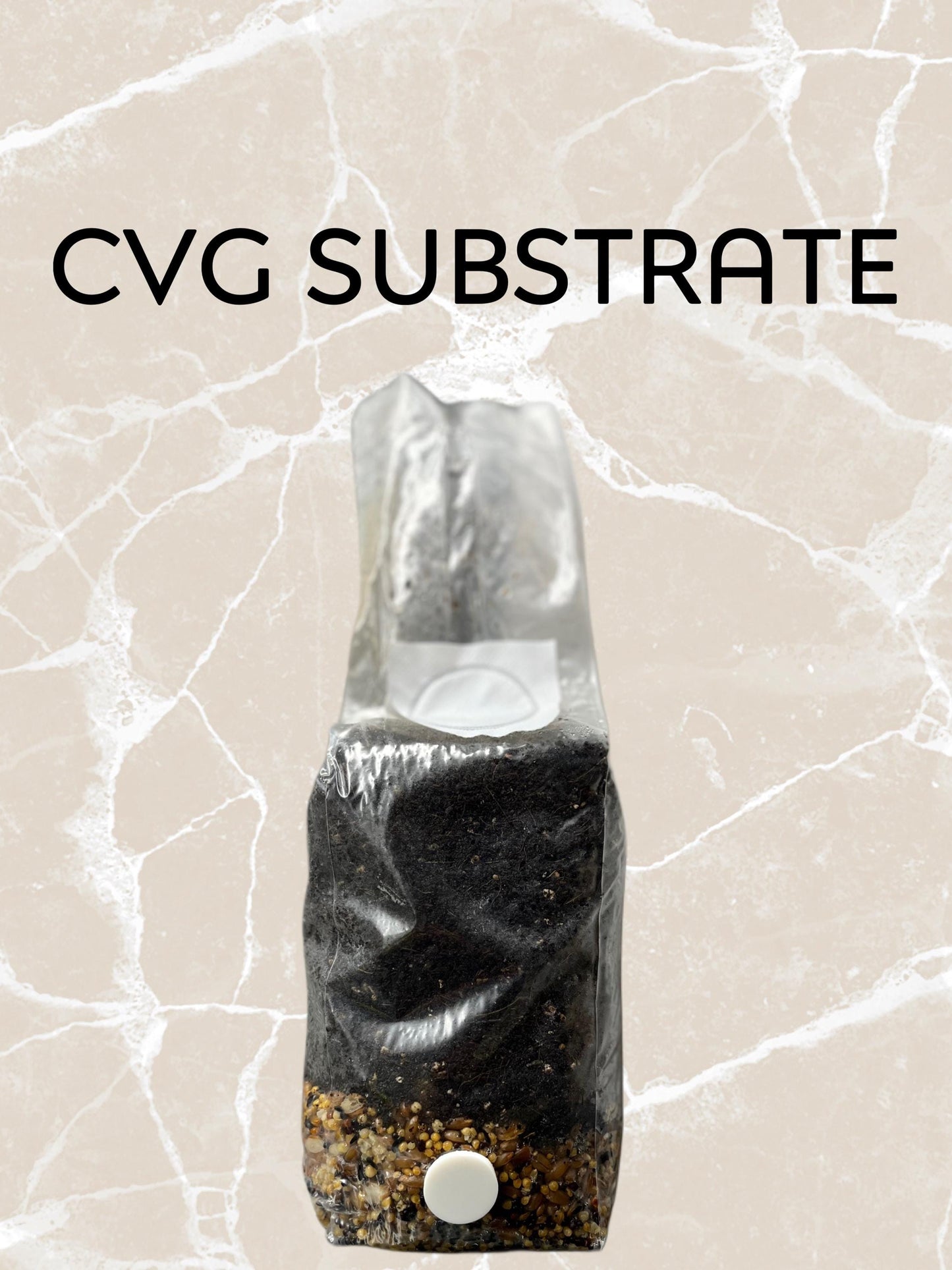 Small All-in-One Mushroom Growing Kit - + Liquid Culture Syringe