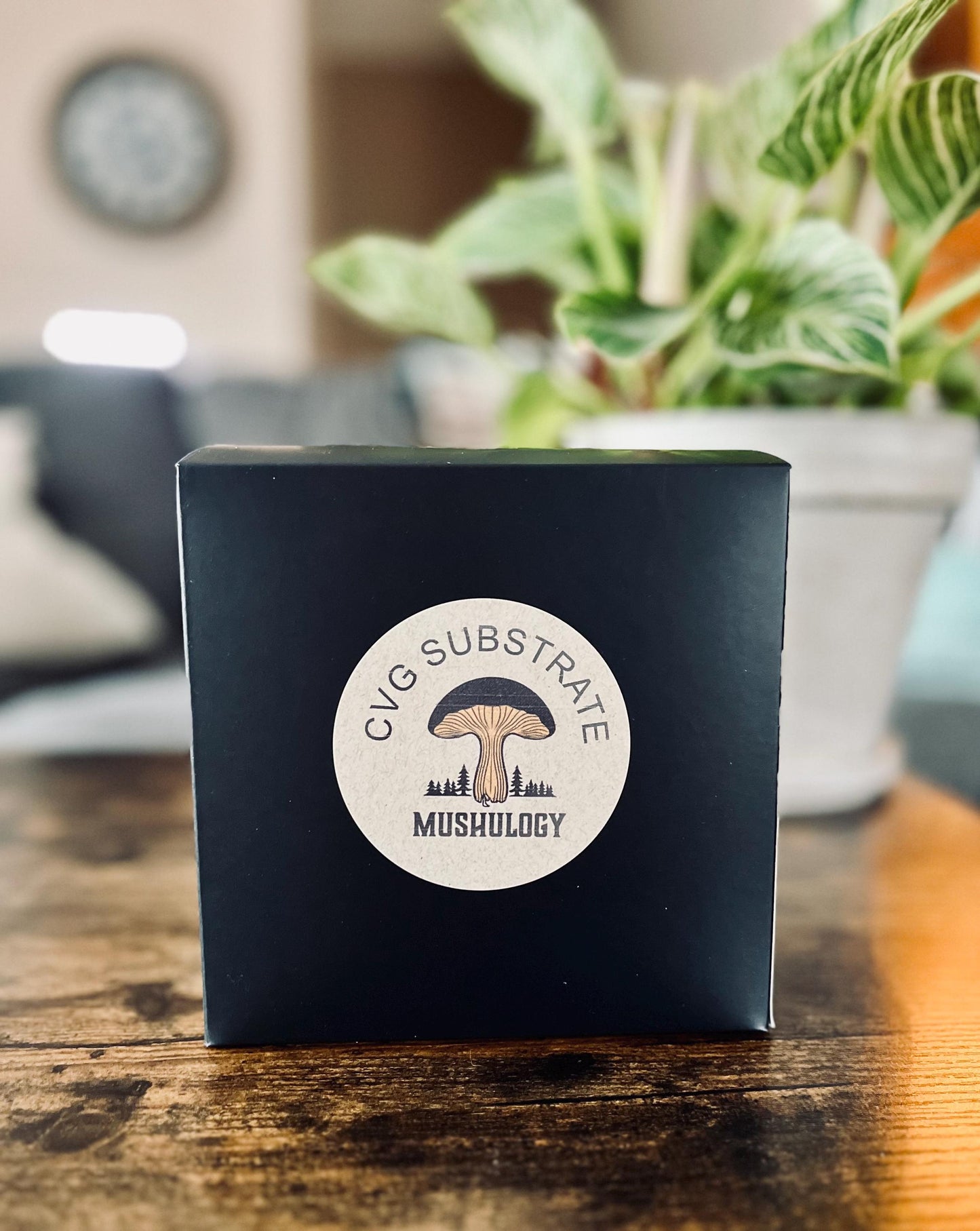 Mushroom All-in-One CVG Mushroom Grow Bag Kit - Grow Your Own Fungi Easily DIY Mushroom setup -Gift for gardeners