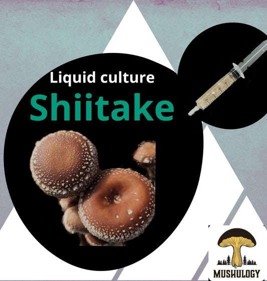 Premium Shiitake Mushroom Liquid Culture for Grain Spawn Inoculation- Grow mushrooms indoors