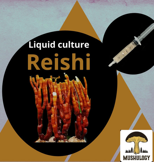 Organic reishi Mushroom Liquid Culture for Grain Spawn Inoculation- Grow mushrooms indoors