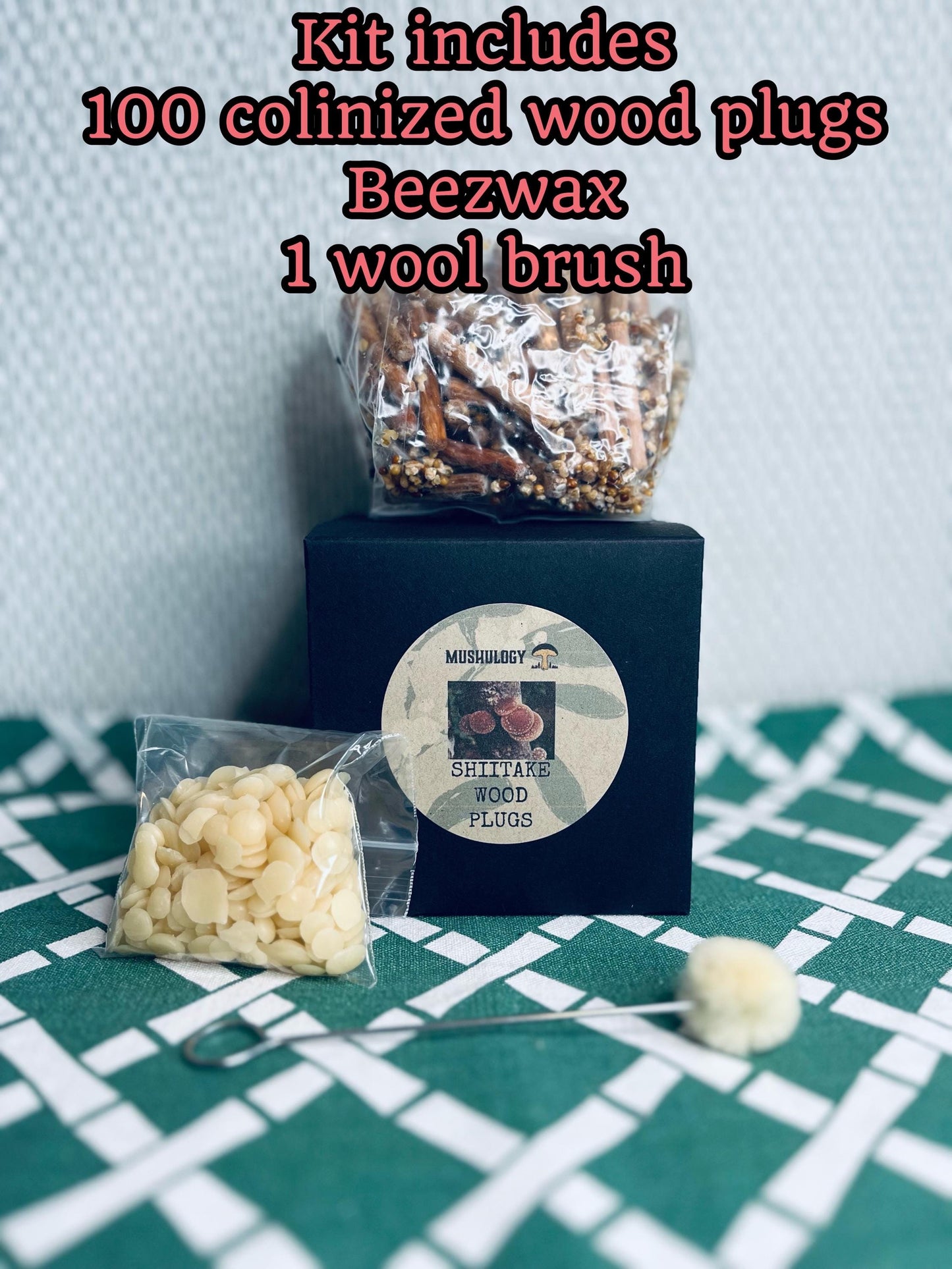 Log Inoculation Kit - 100 Shiitake Wood Plugs for Mushroom Cultivation . Shiitake mushroom