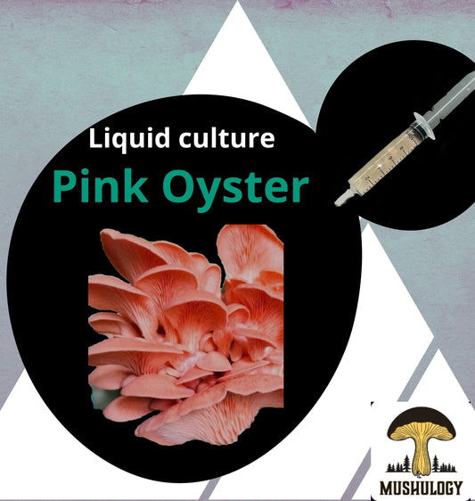 Premium Pink Oyster Mushroom Liquid Culture for Grain Spawn Inoculation- Grow mushrooms indoors