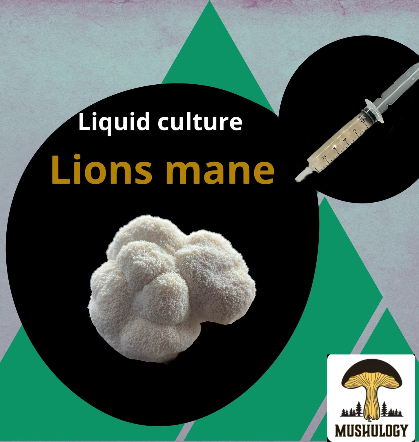 Organic Lions Mane Mushroom Liquid Culture for Grain Spawn Inoculation- Grow mushrooms indoors