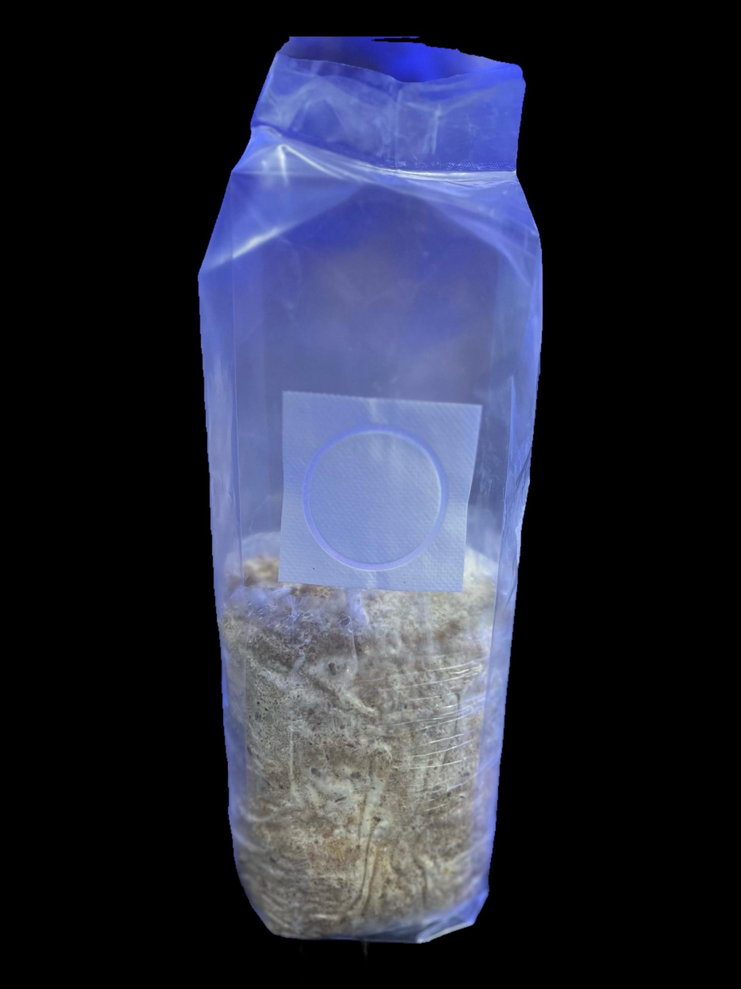 Small All-in-One Mushroom Growing Kit -  + Liquid Culture Syringe