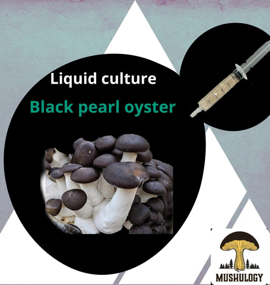 Organic Black Pearl Oyster Mushroom Liquid Culture for Grain Spawn Inoculation- Grow mushrooms indoors