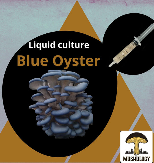 Organic Blue Oyster Mushroom Liquid Culture for Grain Spawn Inoculation- Grow mushrooms indoors