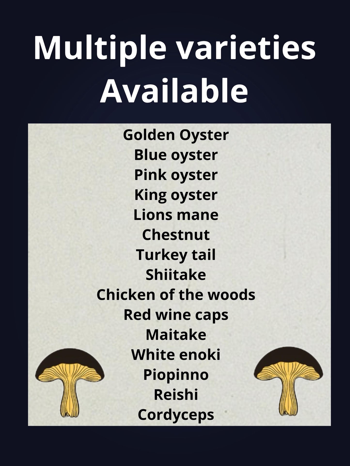 Log Inoculation Kit - 100 Shiitake Wood Plugs for Mushroom Cultivation . Shiitake mushroom