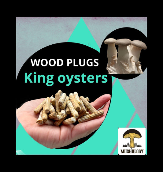 Log Inoculation Kit - 100 King Oyster Wood Plugs for Mushroom Cultivation . King oyster mushroom