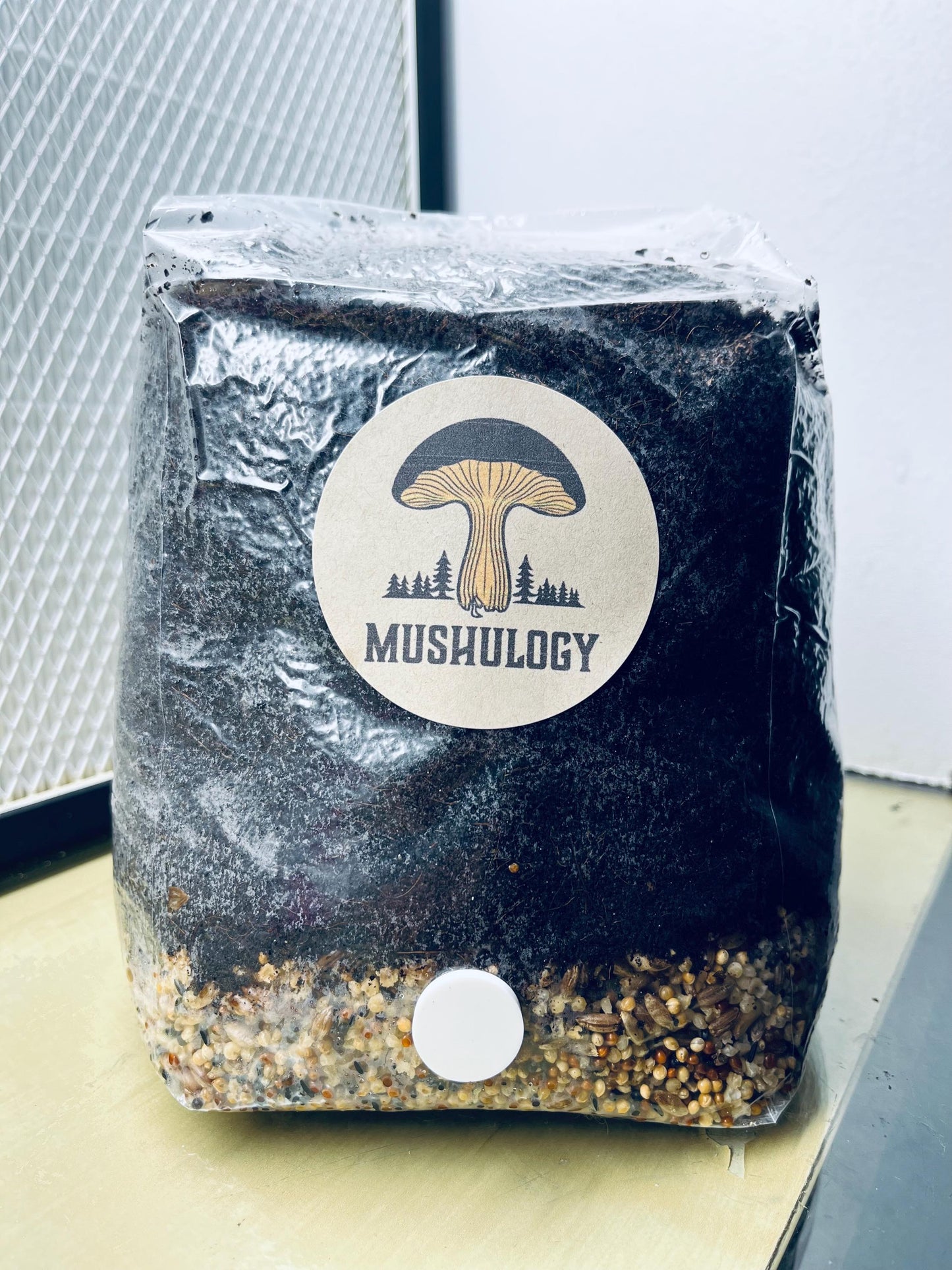 Mushroom All-in-One CVG Mushroom Grow Bag Kit - Grow Your Own Fungi Easily DIY Mushroom setup -Gift for gardeners