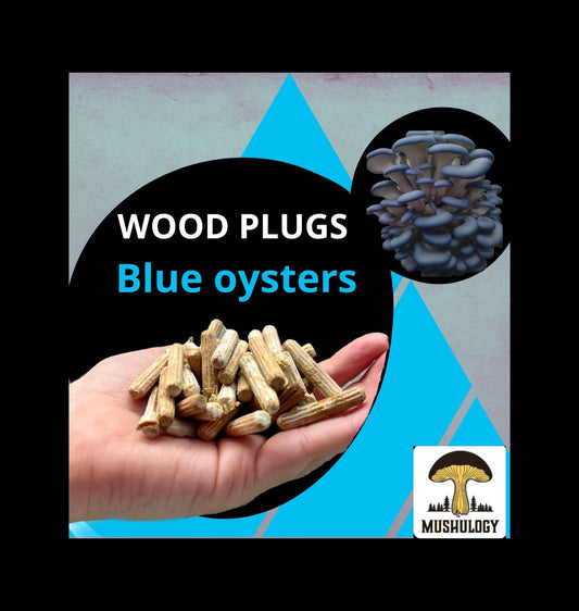 Log Inoculation Kit with Blue Oyster Wood Plugs - Set of 100
