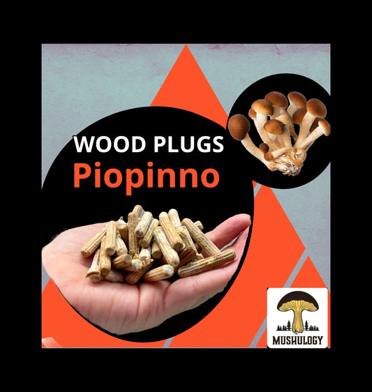 Piopinno Wood Plugs - Mushroom Cultivation Supplies (100 Units)