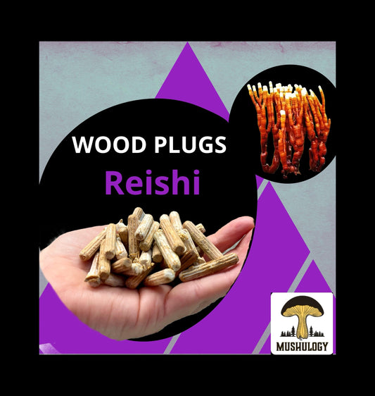 Log Inoculation Kit - 100 Reishi Wood Plugs for Mushroom Cultivation . Reishi mushroom