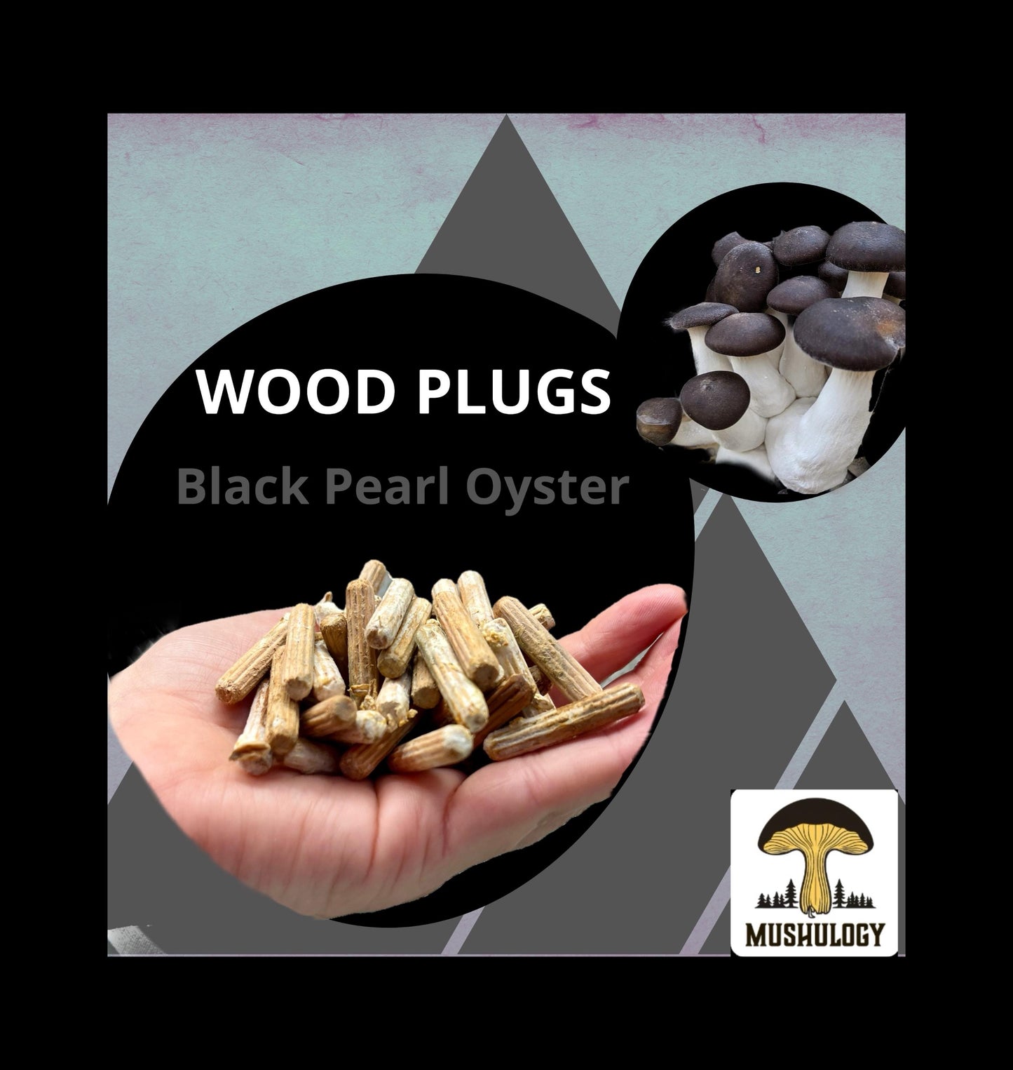 Black Pearl Oyster Wood Plugs - Mushroom Cultivation Supplies (100 Units)