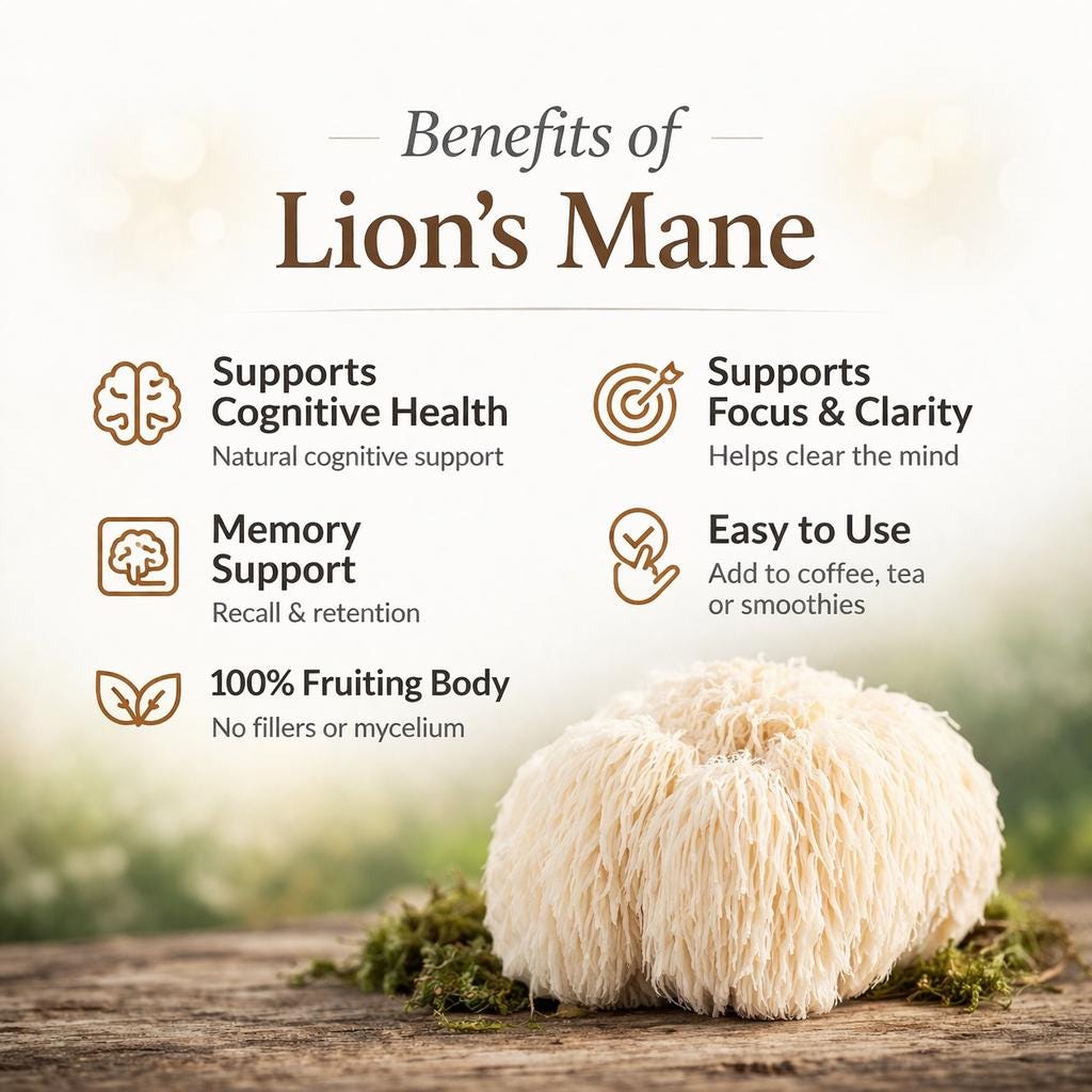 Lion’s Mane Tincture Dual Extract | Cognitive Support | Focus & Clarity | Mushroom Extract | Herbal Supplement | Small Batch