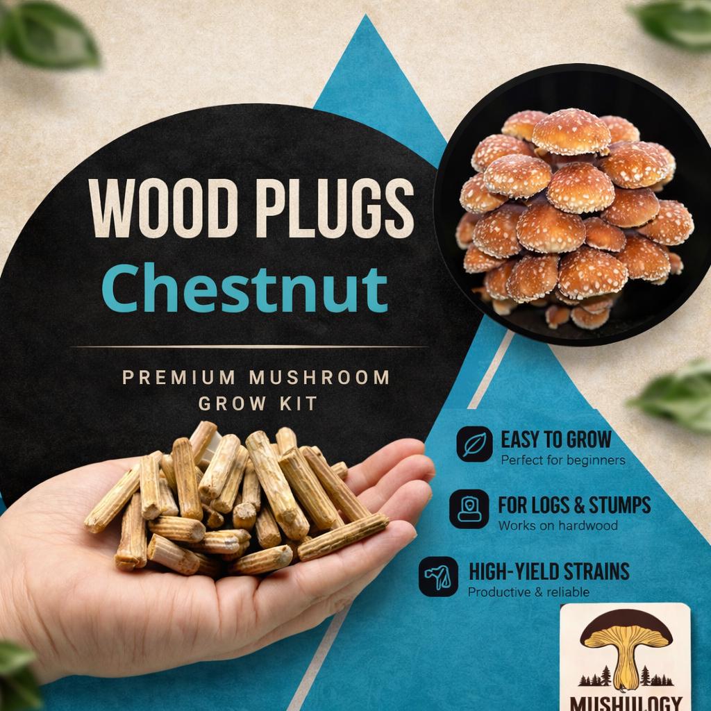 Chestnut Mushroom Plugs – Wood Inoculation, Cultivation Kit (100 Count)