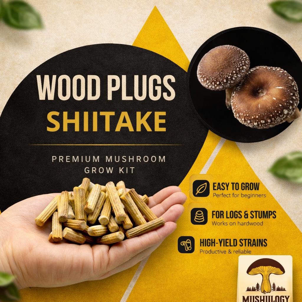 Shiitake Mushroom Wood Plugs – 100 Count Log Inoculation Kit
