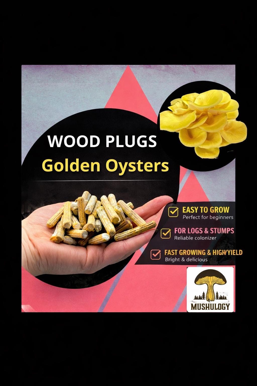 Yellow Oyster Mushroom Wood Plugs – Log Inoculation Kit (100 Plugs)