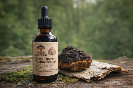 Chaga Mushroom Tincture Dual Extract | Immune Support | Antioxidant Rich | Adaptogen | Herbal Extract | Small Batch Canada