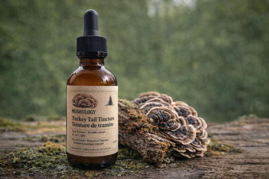 Turkey Tail Tincture Dual Extract | Immune & Gut Support | Mushroom Extract | Adaptogen | Herbal Supplement | Small Batch Canada