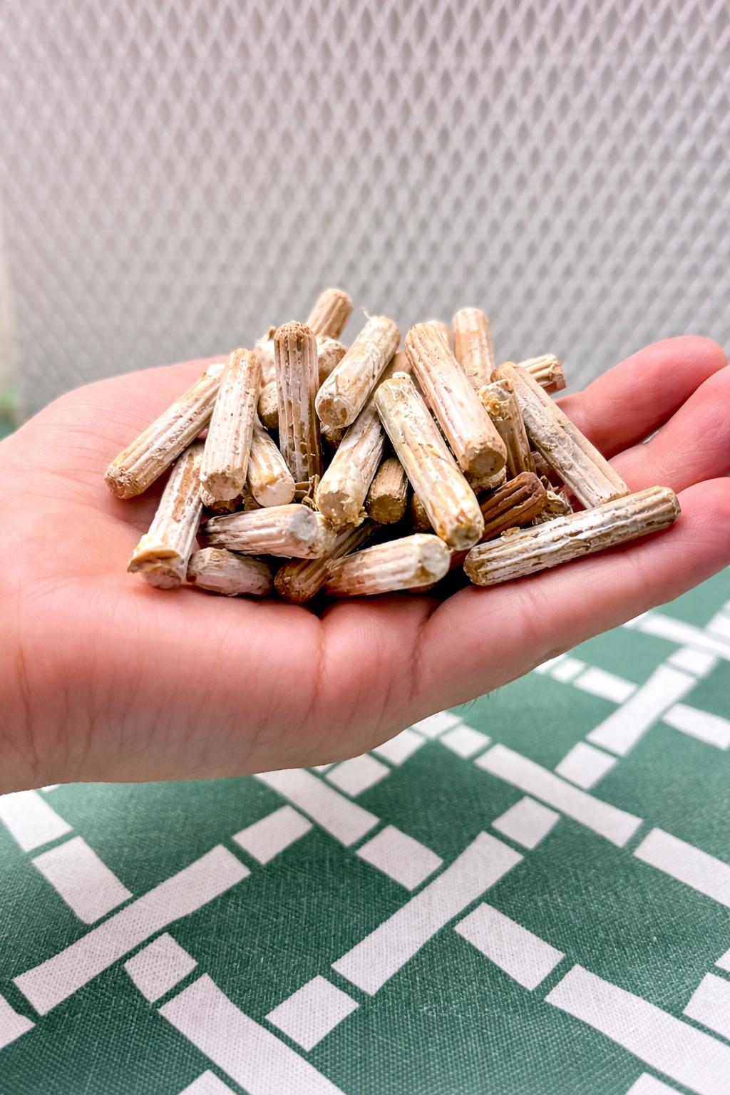 Shiitake Mushroom Wood Plugs – 100 Count Log Inoculation Kit