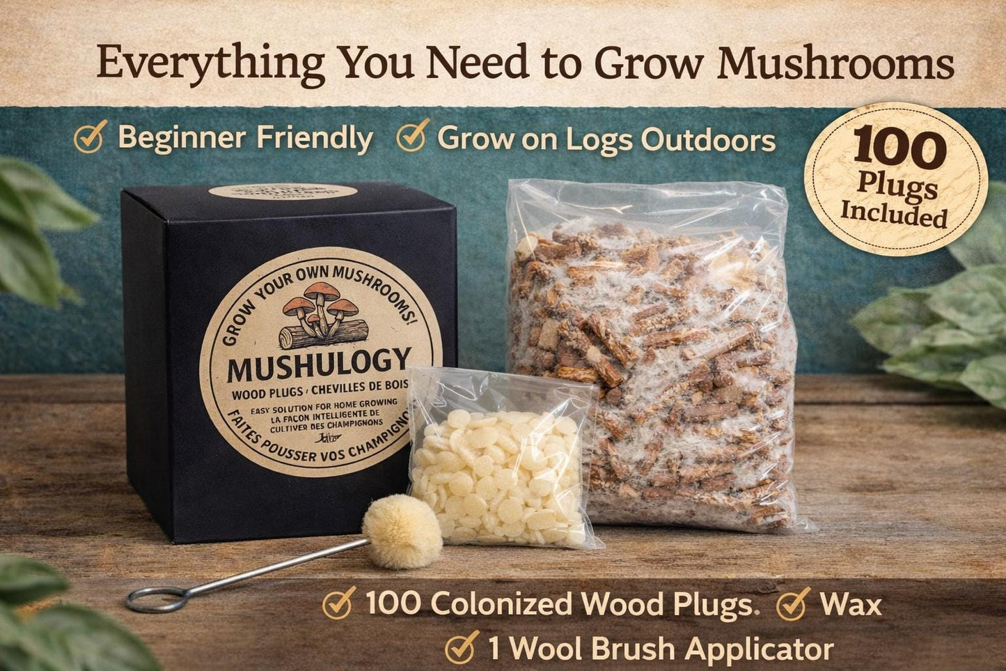 Turkey Tail Mushroom Wood Plugs – 100 Count Cultivation Kit