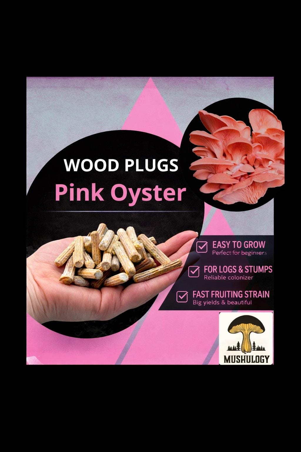 Pink Oyster Wood Plugs - Mushroom Cultivation Supplies (100 Units)